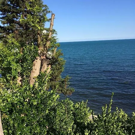 Belle A Svety Vlas * سفيتي فلاس