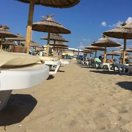Belle A Svety Vlas * سفيتي فلاس