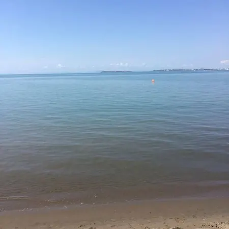 Belle A Svety Vlas سفيتي فلاس